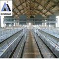 Chicken Layer Cage from Anping City ( Professional Factory)